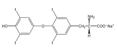 levo structure - levo structure